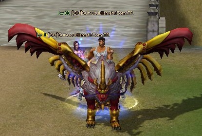 ka%C5%9Fif.jpg